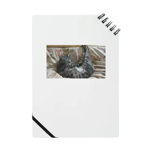 Uねこ Notebook