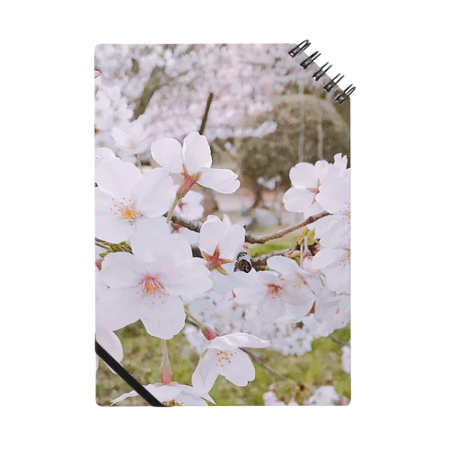 桜 ノート