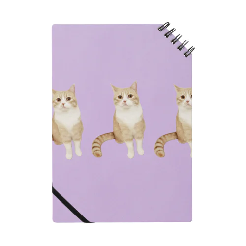 分身する猫 ノート