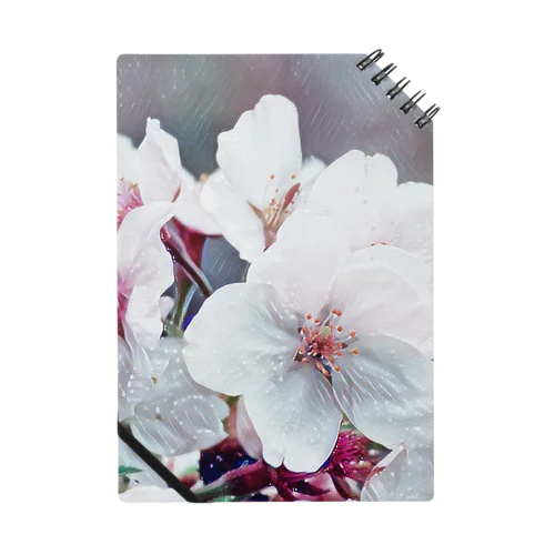 sakura Notebook