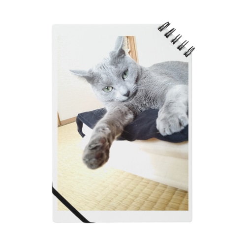 畳猫。 Notebook