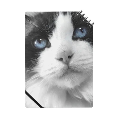 Mimi-blue eyes  Notebook