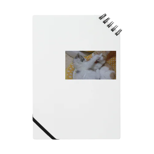 初めての挑戦 Notebook