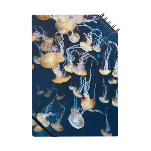 jellyfish ノート