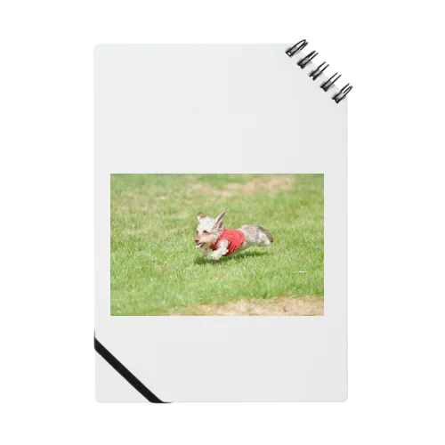 低空飛行犬 Notebook