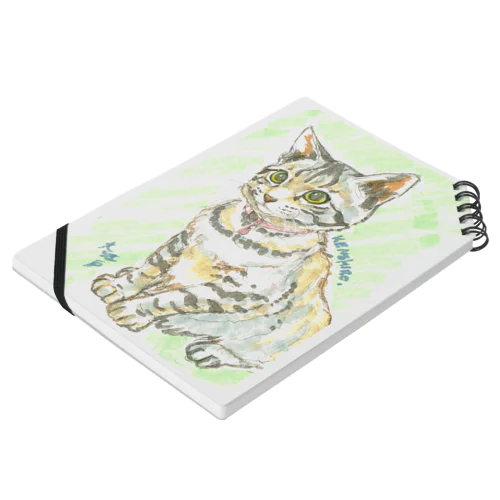 子猫ケンケン Notebook