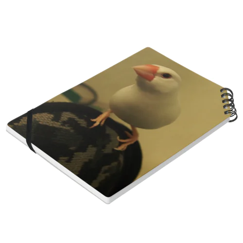 BUNCYO Notebook