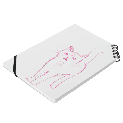 cat simple Notebook