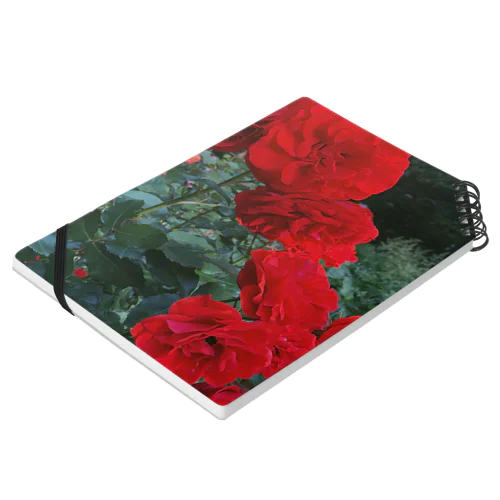 薔薇のお花 深紅 Notebook