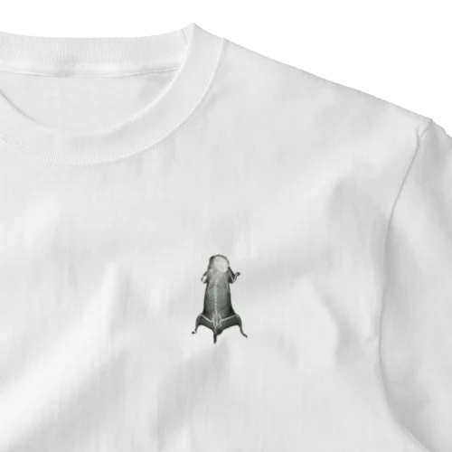 ヌプシteryx One Point T-Shirt
