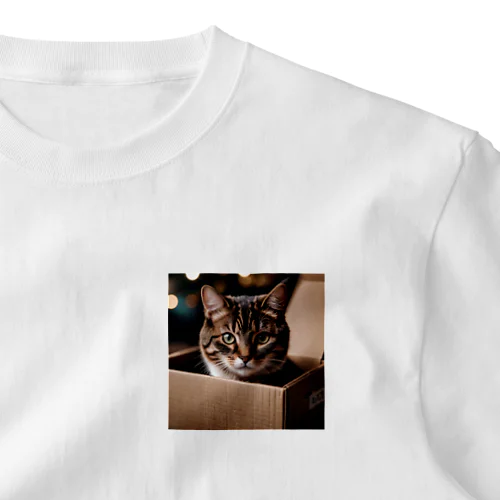 段ボールに入ってこっちを見つめる猫 ワンポイントTシャツ
