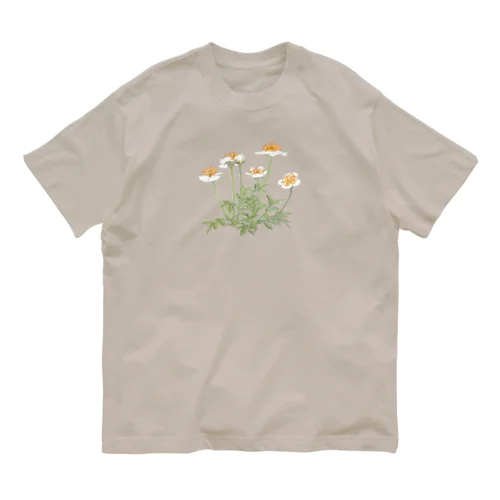 チングルマさん Organic Cotton T-Shirt