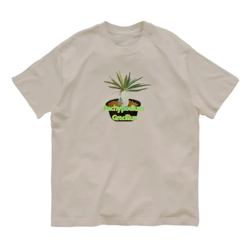 Pachypodium Gracilius オーガニックコットンTシャツ