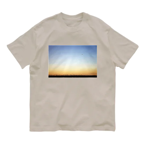 TOKYO SKY 東京 空 オーガニックコットンTシャツ