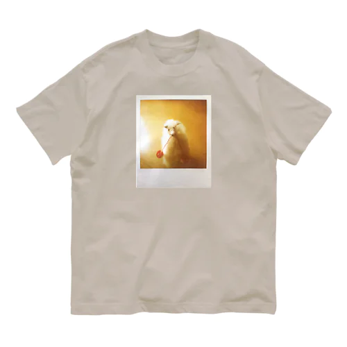ポラロイド写真（アルパカ） オーガニックコットンTシャツ