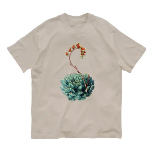 エケベリア・セクンダ（文字無し版） Organic Cotton T-Shirt