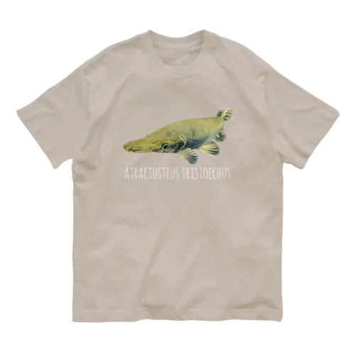 ガーパイク濃色 Organic Cotton T-Shirt