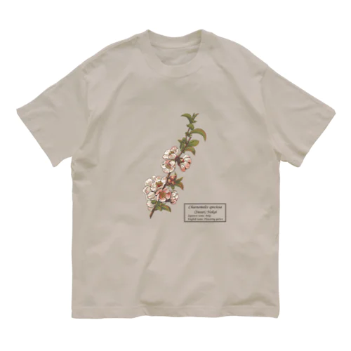 ボケ（Chaenomeles speciosa） オーガニックコットンTシャツ