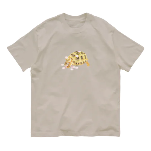 花びらとヨツユビリクガメ オーガニックコットンTシャツ