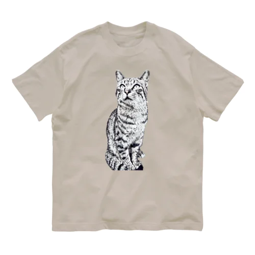 トラ猫トラ君 オーガニックコットンTシャツ