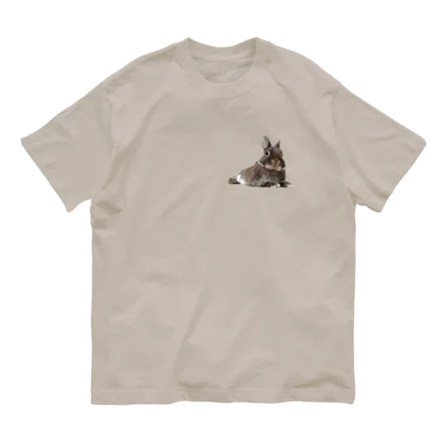 うさぎのほーりー① Organic Cotton T-Shirt