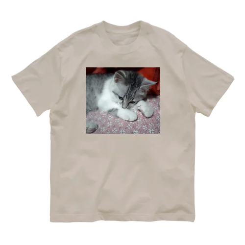 そろそろおねむかな？ 猫の音羽ちゃん オーガニックコットンTシャツ