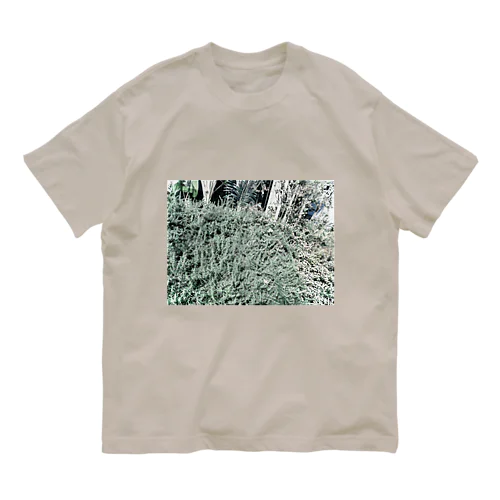 plants オーガニックコットンTシャツ