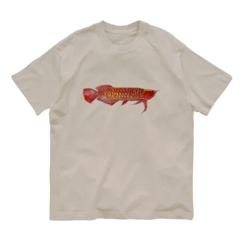 アロワナだぞっ‼️🤩 Organic Cotton T-Shirt