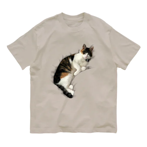 ねむる猫 オーガニックコットンTシャツ