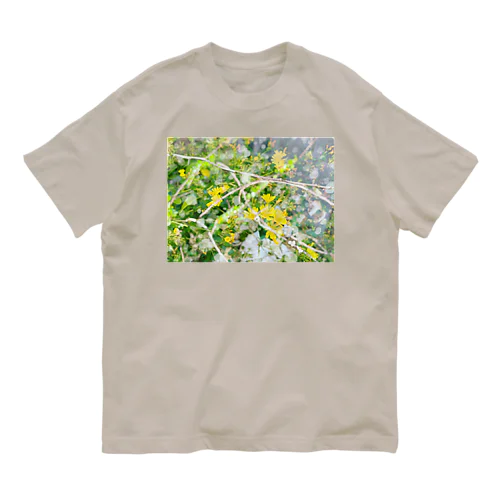 Mikuカフーアーツ【庭でまどろむ】シリーズ🌼 Organic Cotton T-Shirt