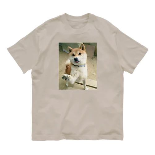 柴犬マル君グッズ(招き犬version) オーガニックコットンTシャツ