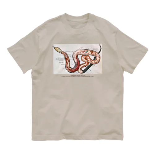 ヘビの解剖 オーガニックコットンTシャツ