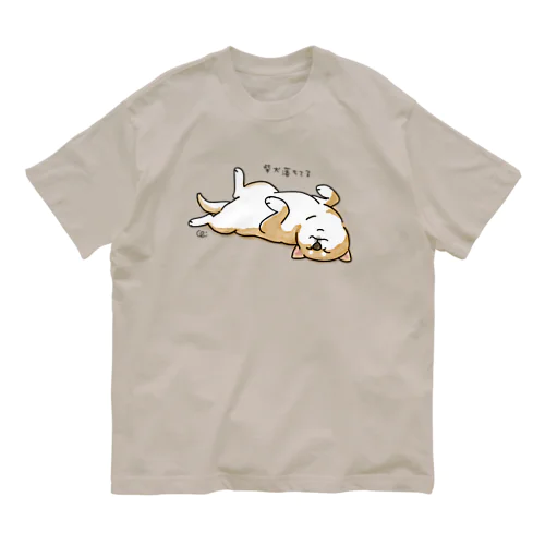 柴犬落ちてる（茶柴） オーガニックコットンTシャツ