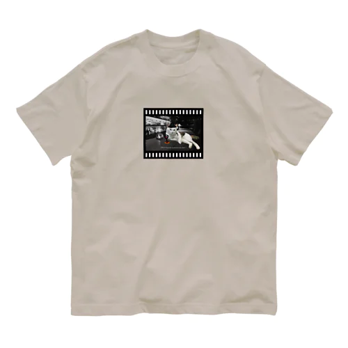 あちらのお客様からです。3 Organic Cotton T-Shirt