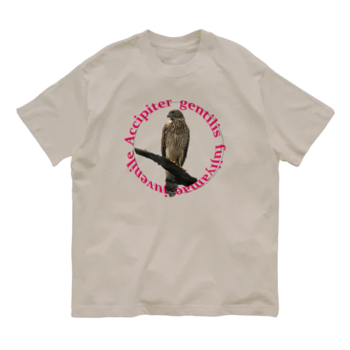 オオタカ Organic Cotton T-Shirt