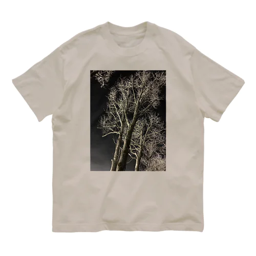 202001121944000　夜の樹木 オーガニックコットンTシャツ