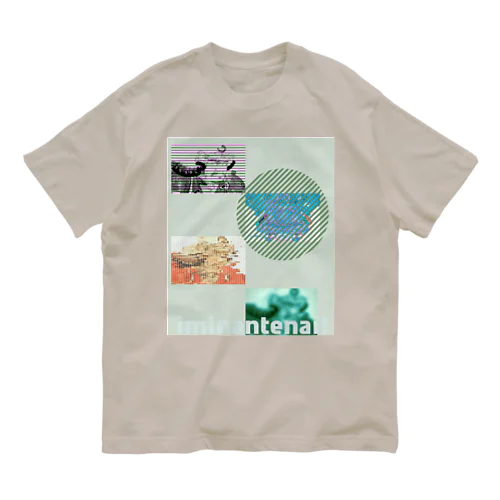 追憶の信玄 Organic Cotton T-Shirt