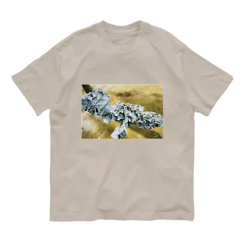 地衣類 Organic Cotton T-Shirt