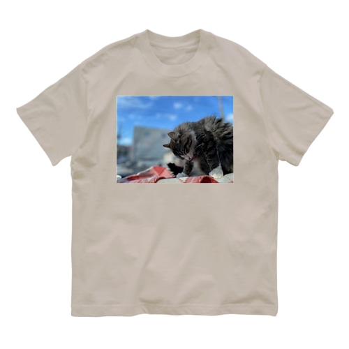 たびねこ蜜柑 Organic Cotton T-Shirt