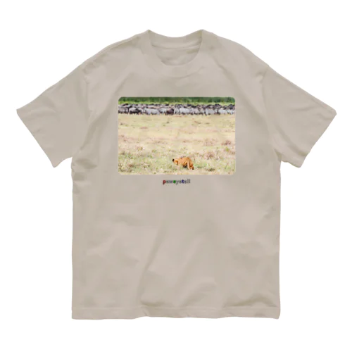 ロックオン Organic Cotton T-Shirt