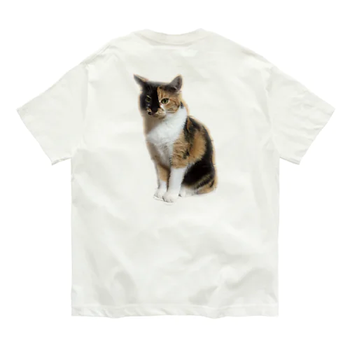 孤高のネコ ここちゃん オーガニックコットンTシャツ