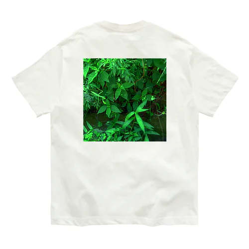 みどり Organic Cotton T-Shirt