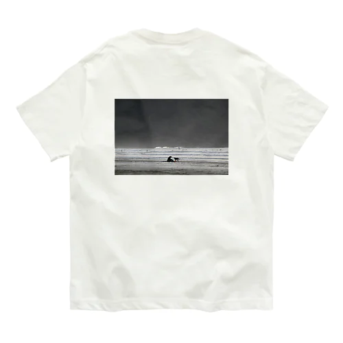surf_03 オーガニックコットンTシャツ
