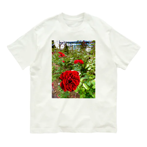赤い花 オーガニックコットンTシャツ