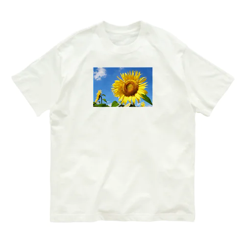 だんでぃらいおん オーガニックコットンTシャツ