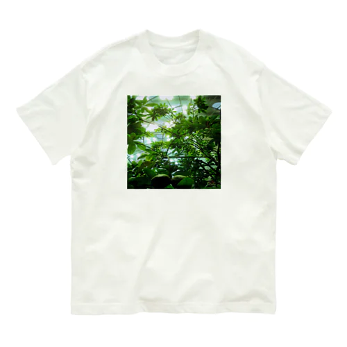 Lush Greenery オーガニックコットンTシャツ