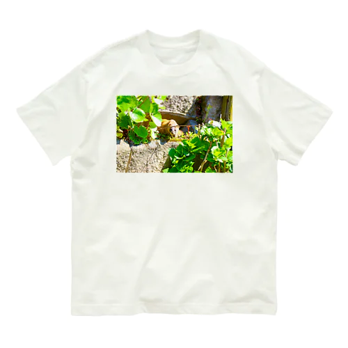ホンドテン Organic Cotton T-Shirt