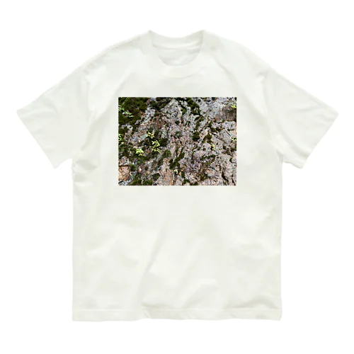 苔 Organic Cotton T-Shirt