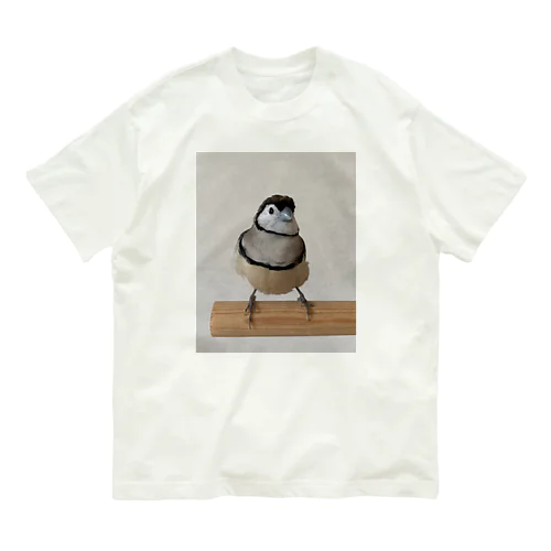 あめたん Organic Cotton T-Shirt