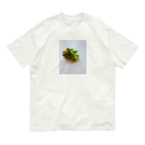 サバイバー多肉 Organic Cotton T-Shirt